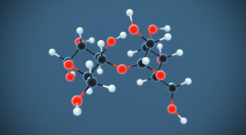 maltose-2