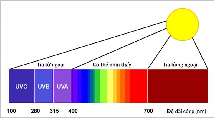 ray-hong-ngoi-la-gi-4