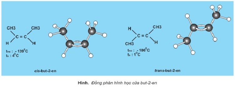 dong-phan-hinh-learning-cua-but-2-en