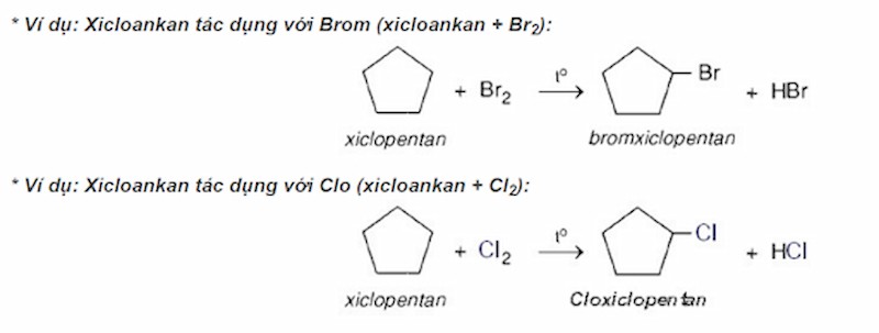 phan-ung-the-cycloalkane