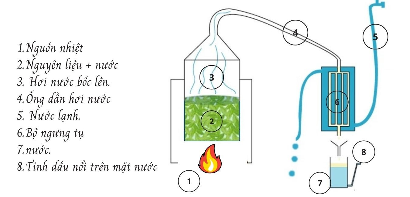 phương-pháp-tướng-cat-la-gi-4