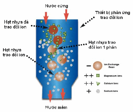 Xu-ly-nước-thai-bang-bang-phượng-pháp-hap-thu