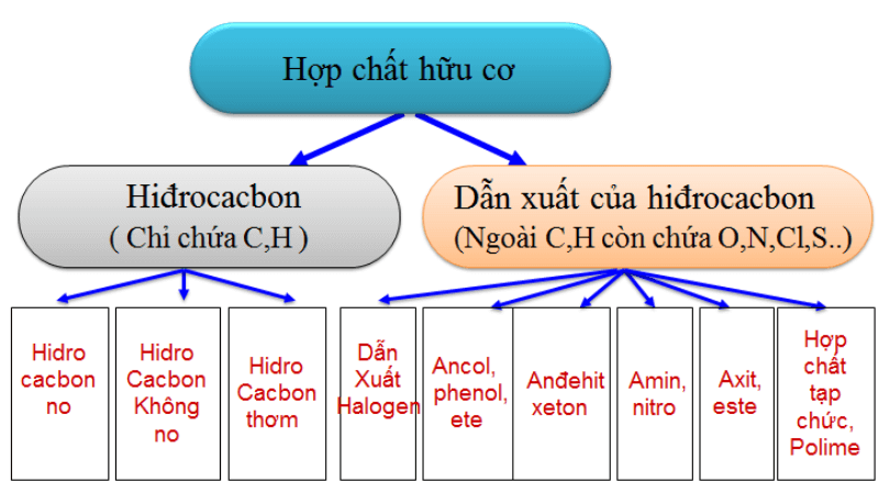 chat-huu-co-la-gi-2-1