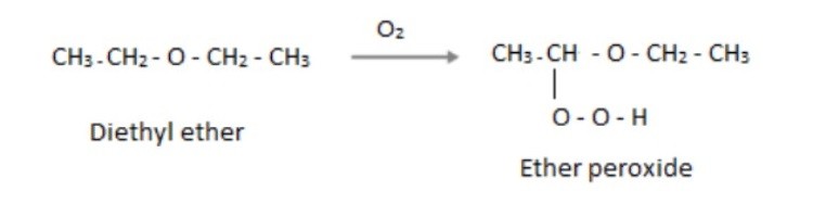 chất dinh dưỡng chống oxy hóa