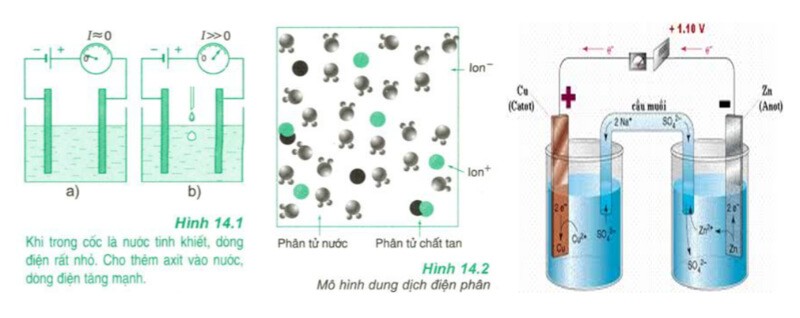 su-dien-li-2