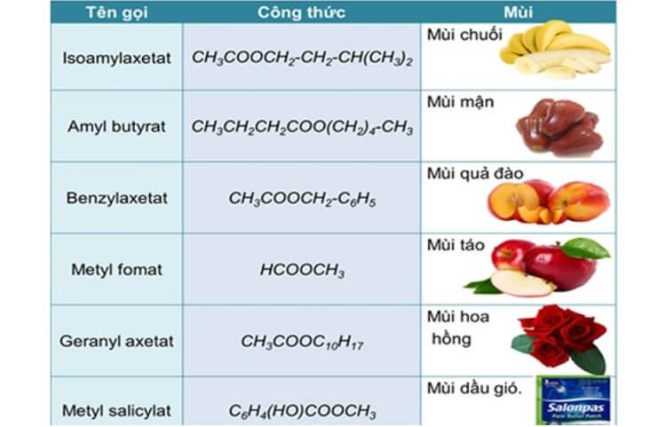 mui-thom-cua-mot-so-este-thương-gap