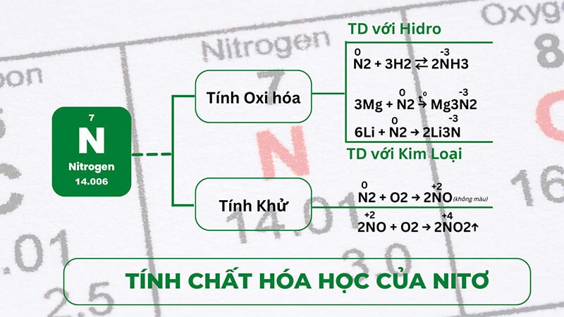 nitơ-hoa-tri-may-5