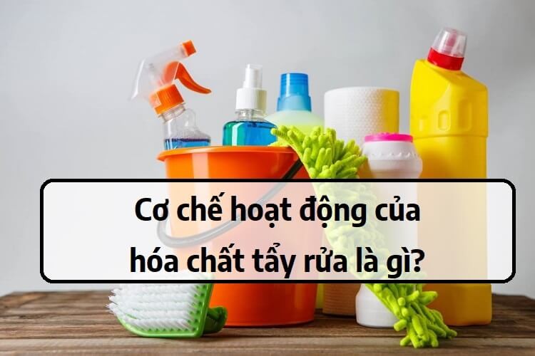 hoa-chát-tay-rua-la-gi