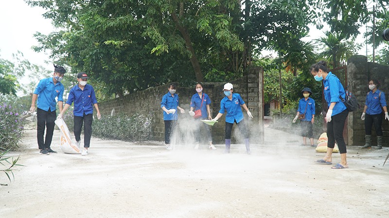 Clean the environment with lime powder