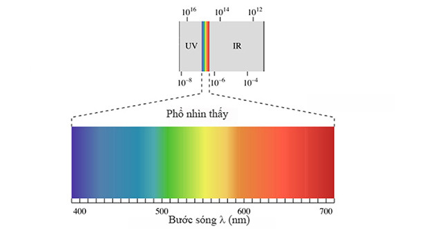 Quang phổ ánh sáng cho cuvet thạch anh