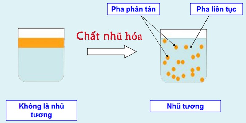 like-tường-la-gi-2