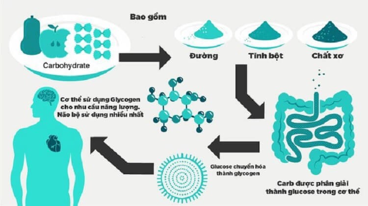 chuyển đổi carbs trong dừa