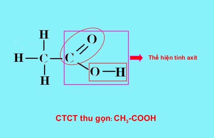 Nhóm cacboxyl COOH thể hiện tính axit 