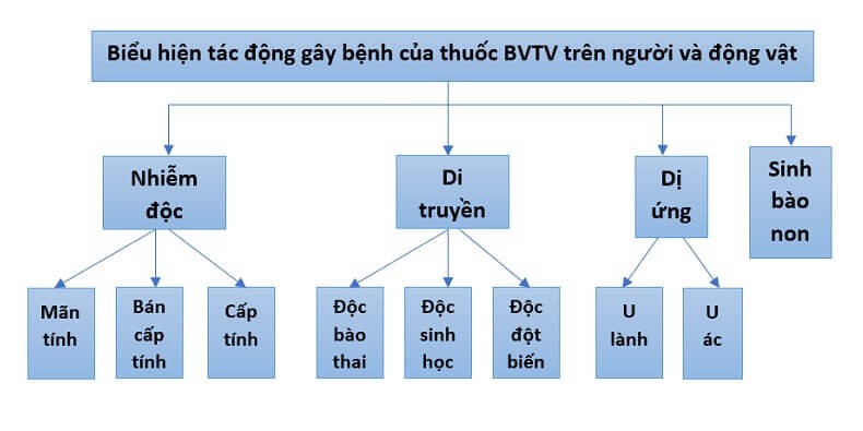 tac-hai-thước-bvtv