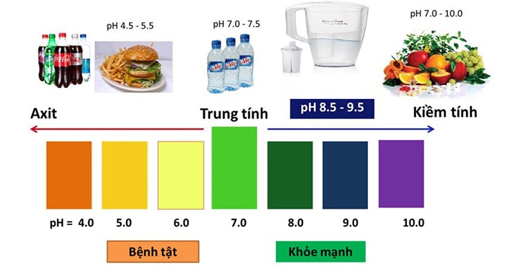 pH ảnh hưởng tới sức khỏe và cuộc sống con người