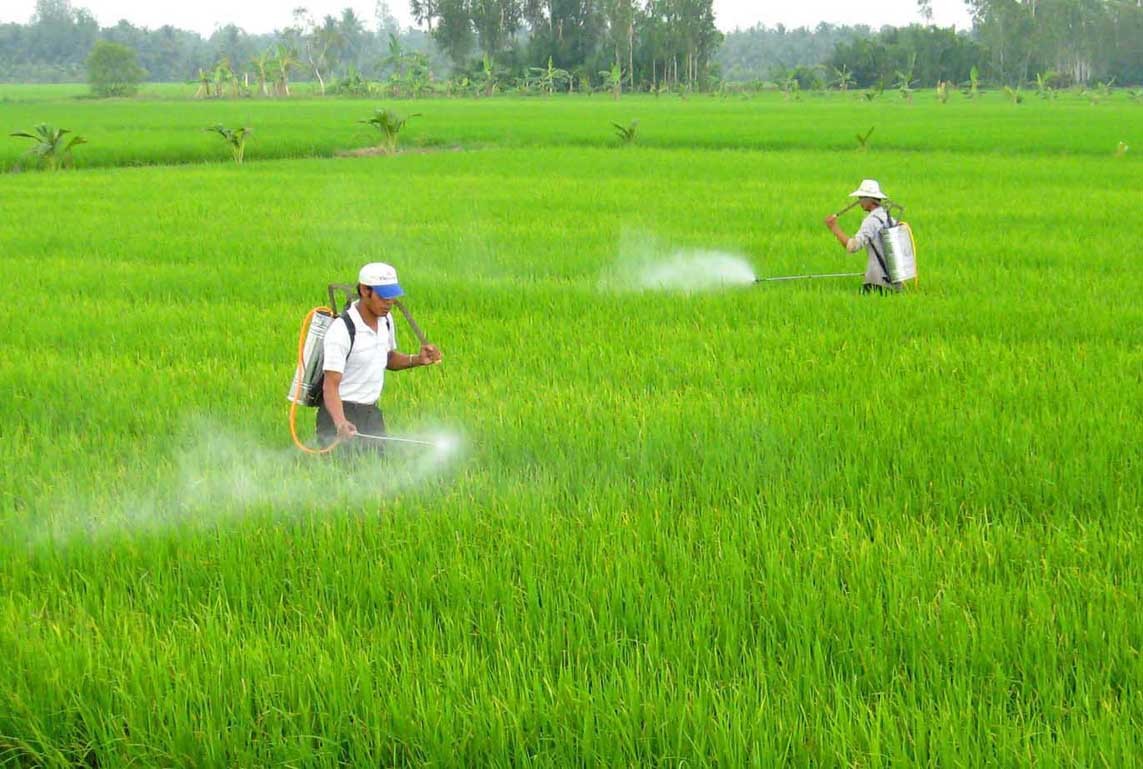 Hoạt động nông nghiệp không an toàn