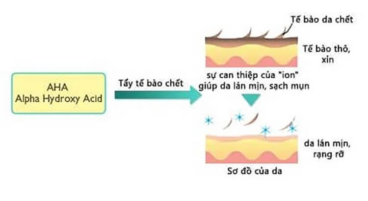 aha-la-gi-cong-dùng-tuyet-voi-doi-voi-land-da