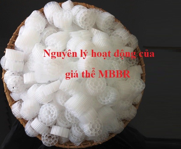 Tìm hiểu nguyên lý hoạt động của tấm nền MBBR