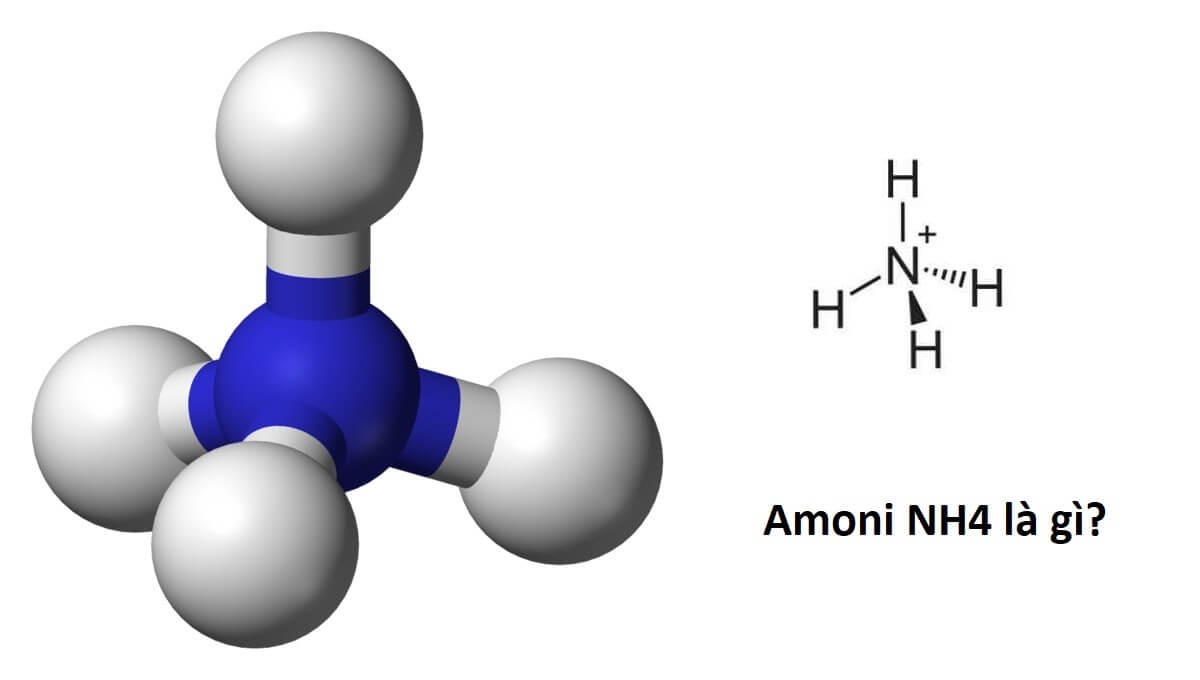 Amoni là gì? Muối amoni là gì? Cấu trúc phân tử của NH4