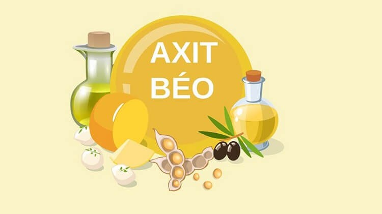 axit béo