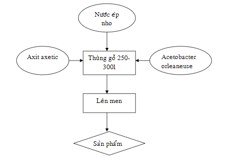 Điều chế axit axetic từ nước nho 