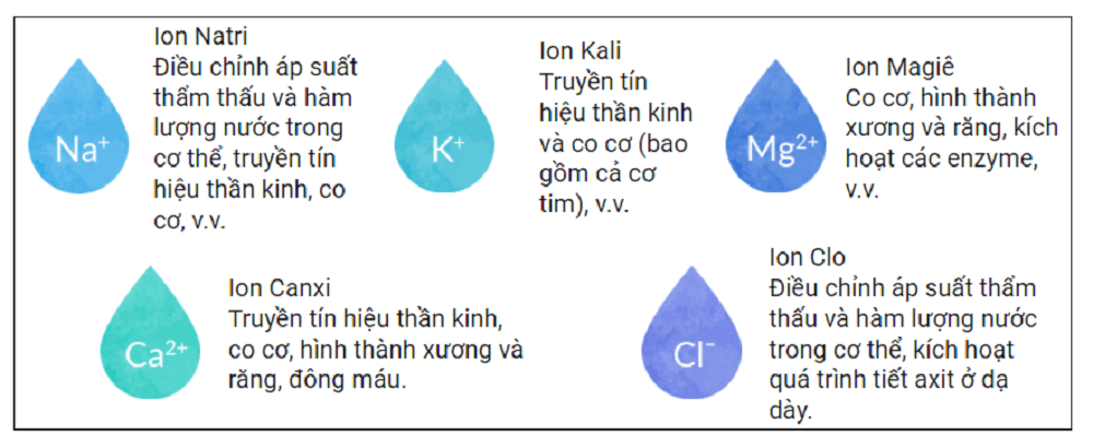 ion-la-gi-3