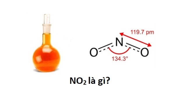 NO2 là gì?