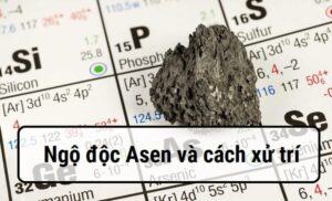 ngo-doc-asen