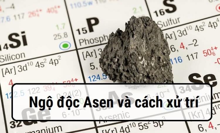 ngo-doc-asen