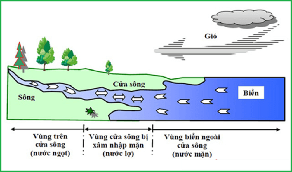 nước-lo-2