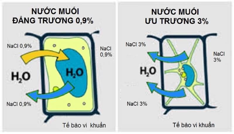 nước-muoi-uu-school-2