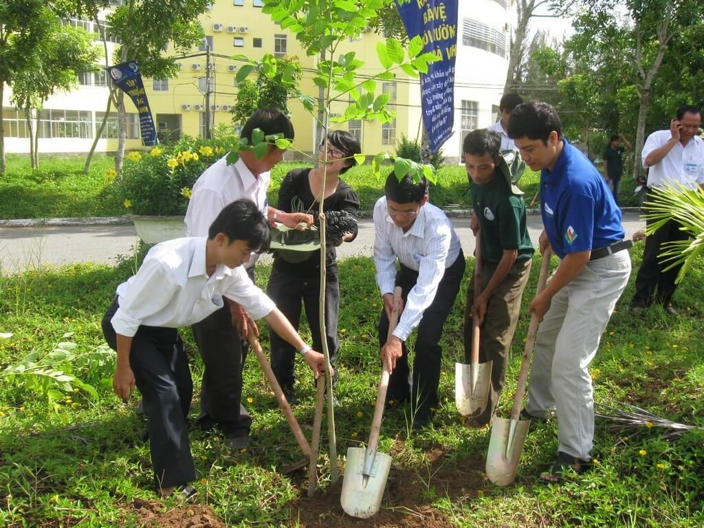 Trồng cây góp phần giảm thiểu biến đổi khí hậu