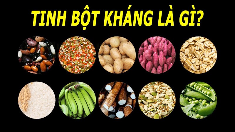 Tinh-bot-khang-1