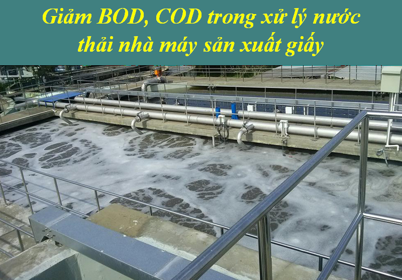 Xử lý nước thải trong nhà máy giấy