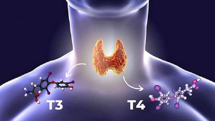 iotdine-cho-sản xuất-quản lý-quản trị