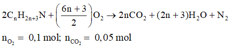 Các dạng bài toán đốt cháy amin và cách giải