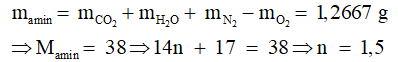 Các dạng bài toán đốt cháy amin và cách giải