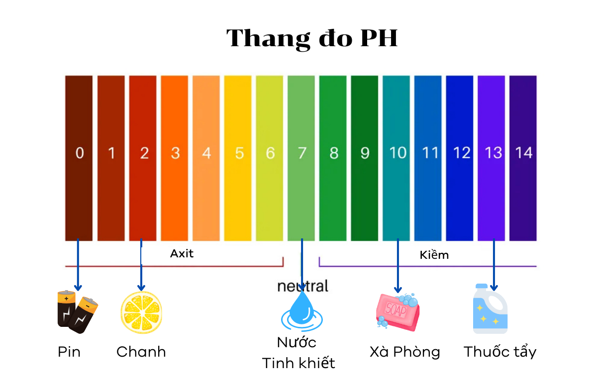 thang-do-ph-and-chat-thong-use