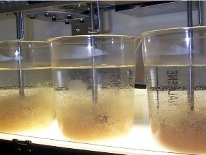 Đông máu - quá trình đông máu