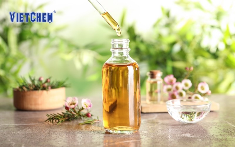 sinh viên học tập