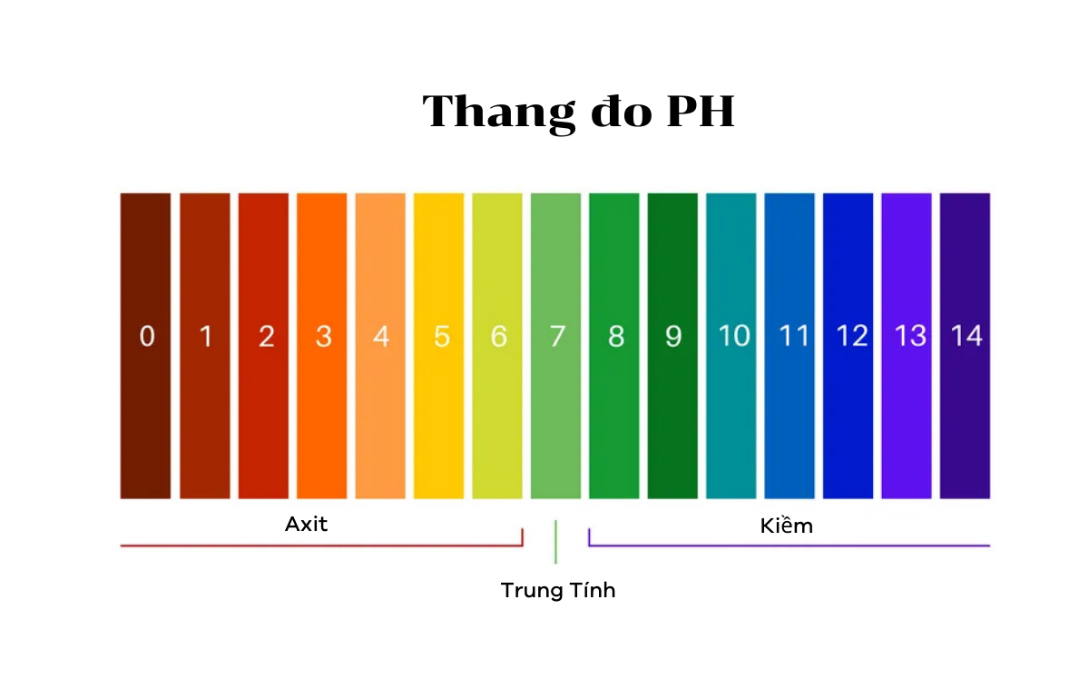 thang-do-ph