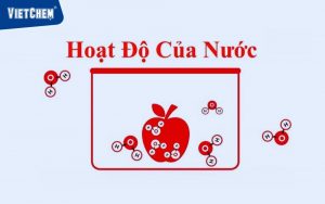 hoạt động dưới nước