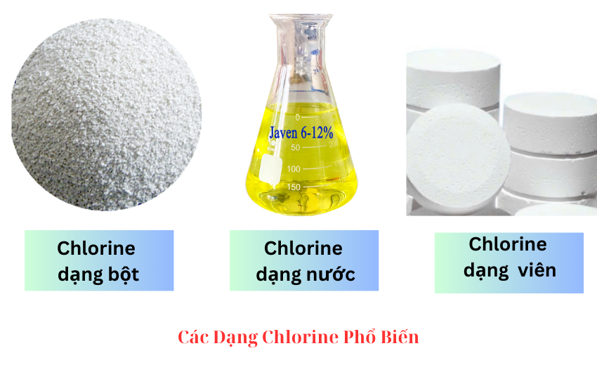 carbon-dang-clo-pho-bien