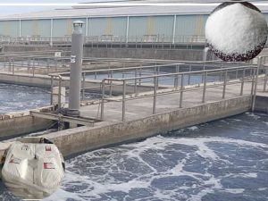 Polyme cation được sử dụng rộng rãi trong ngành xử lý nước