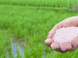 HNO3 68% được sử dụng trong sản xuất phân bón