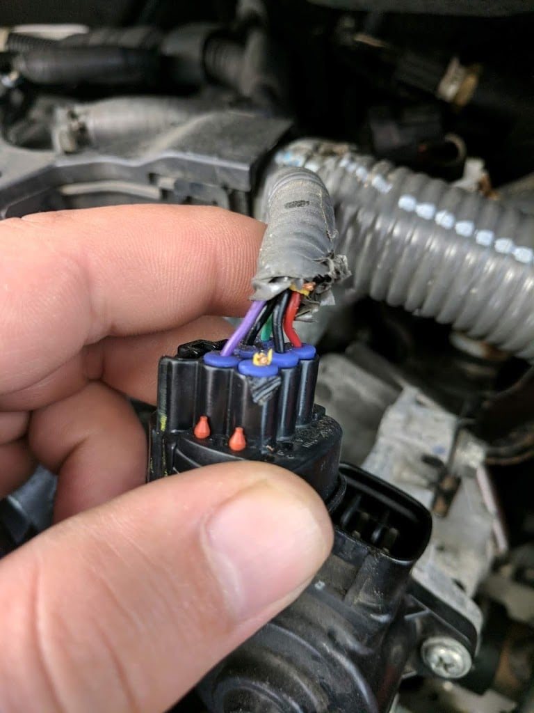 Cách chống chuột cắn dây điện hiệu quả và đơn giản chuột có thể bật màn hình 2