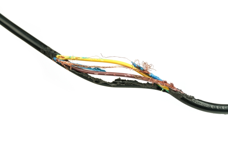 Cách chống chuột cắn dây điện hiệu quả và đơn giản chuột máy tính 4