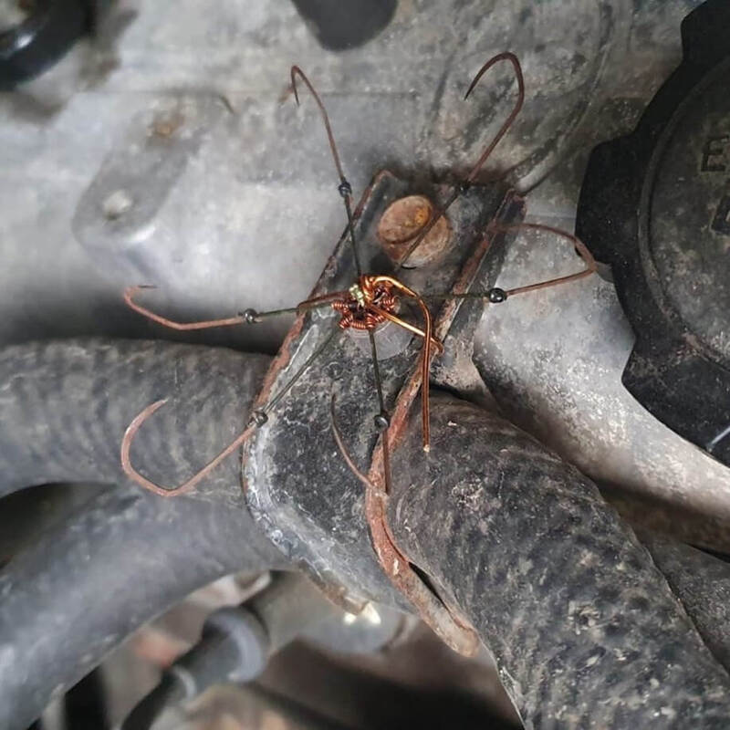 Cách chống chuột cắn dây điện hiệu quả và đơn giản Cách đổi chuột sang máy tính