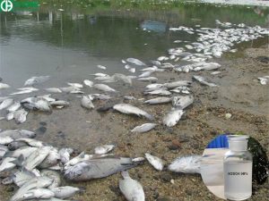 Tác dụng có hại của axit H2SO4 đối với sinh vật