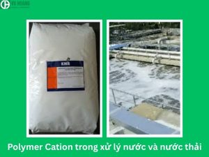 Polyme cation trong xử lý nước và nước thải